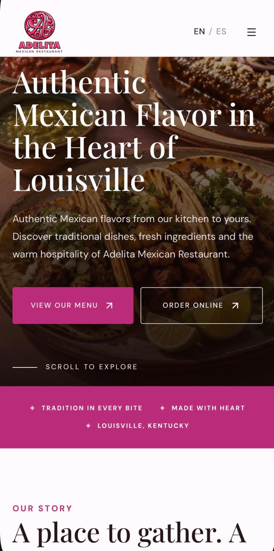 Adelita website concept — mobile homepage